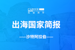 30116金沙js9官网GO GLOBAL | 沙特阿拉伯国家简报
